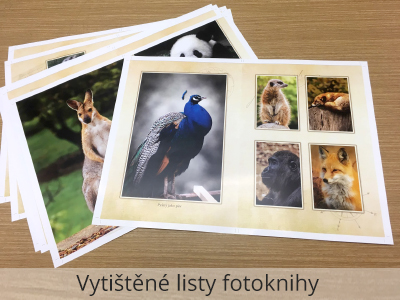 Vytištěné listy