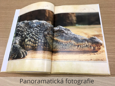 Panoramatická fotografie