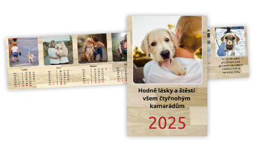  - Dřevo