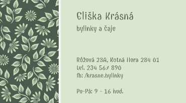  - Bylinkový vzor